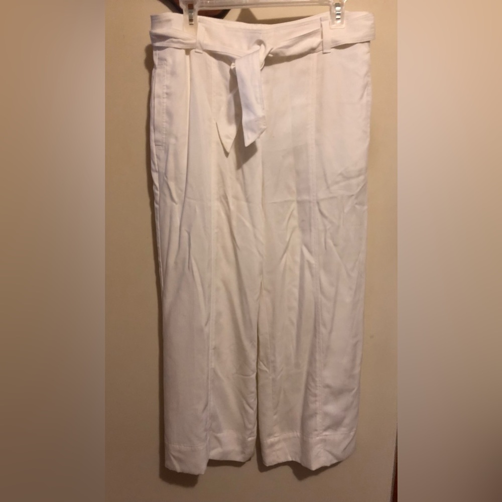 Ladies Ann Taylor pants